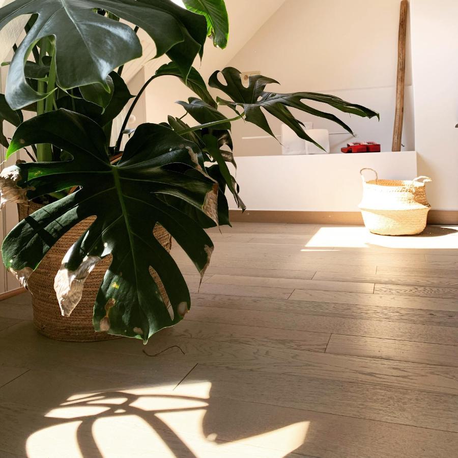 Maison D'Artiste Gent Dış mekan fotoğraf